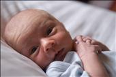 JJ @ 2 Weeks